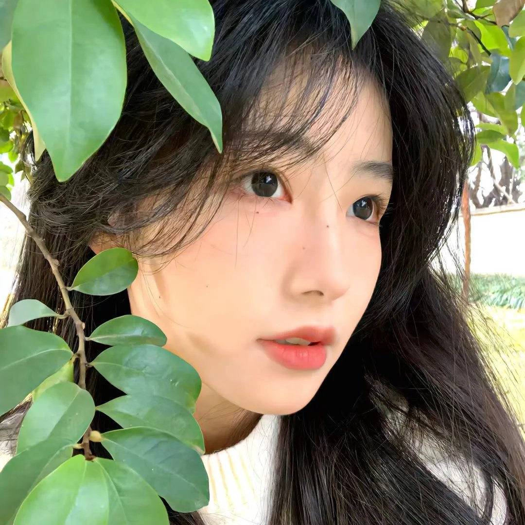 长腿女孩们